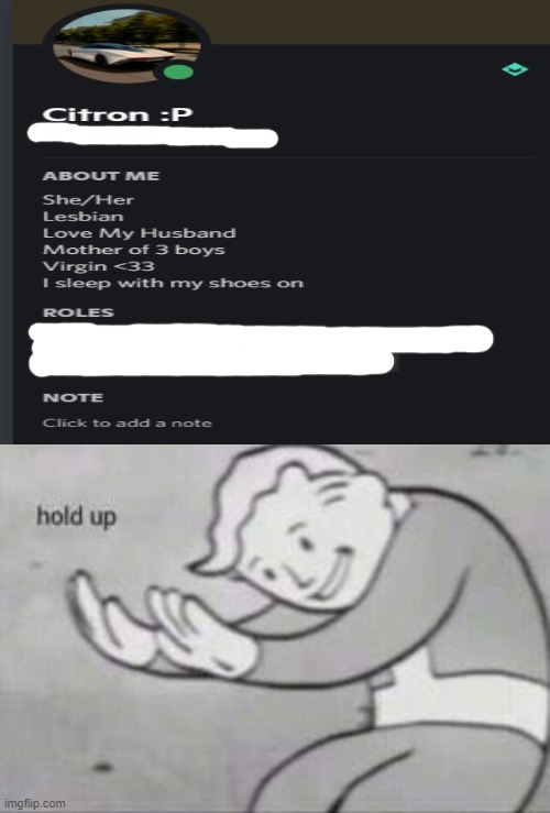 What confuses me the most is that the person whose profile is this is actually a boy | image tagged in blank white template,fallout hold up,hol up,hold up,lesbian,confusion | made w/ Imgflip meme maker