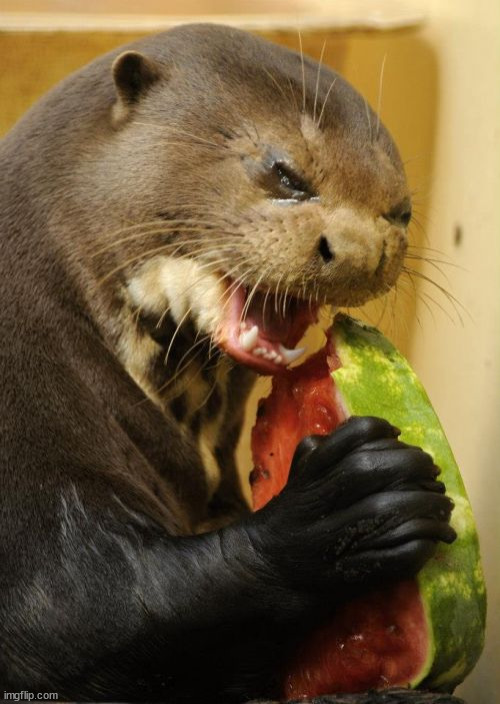 Self Loathing Otter | image tagged in memes,self loathing otter | made w/ Imgflip meme maker