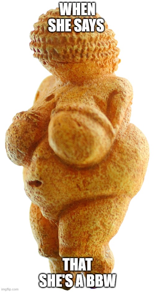 BBW  (big beautiful woman) | WHEN SHE SAYS; THAT SHE'S A BBW | image tagged in venus of willendorf,bbw,thicc | made w/ Imgflip meme maker