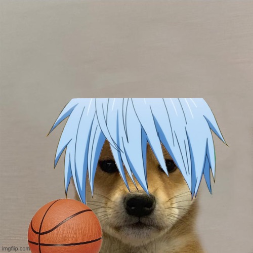 Kuroko’s 2nd dog | image tagged in anime meme | made w/ Imgflip meme maker