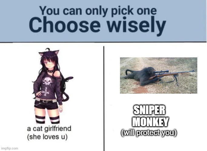 Choose wisely |  SNIPER  MONKEY; (will protect you) | image tagged in choose wisely | made w/ Imgflip meme maker