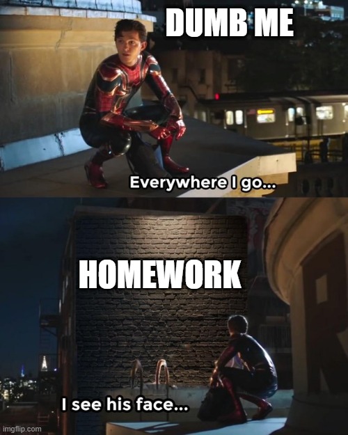 School everytime | DUMB ME; HOMEWORK | image tagged in everywhere i go i see his face | made w/ Imgflip meme maker