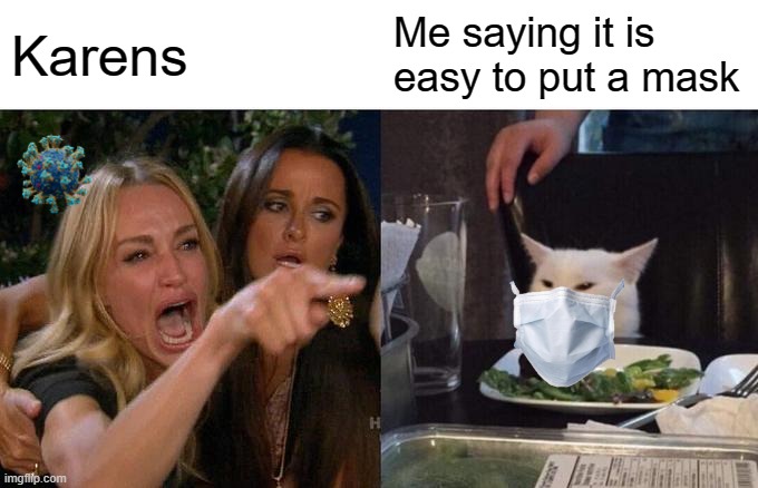 Karens.... | Karens; Me saying it is easy to put a mask | image tagged in memes,woman yelling at cat | made w/ Imgflip meme maker
