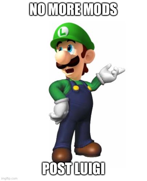 Logic Luigi | NO MORE MODS; POST LUIGI | image tagged in logic luigi | made w/ Imgflip meme maker