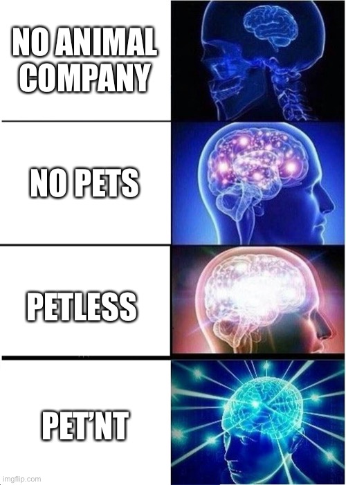 Expanding Brain | NO ANIMAL COMPANY; NO PETS; PETLESS; PET’NT | image tagged in memes,expanding brain | made w/ Imgflip meme maker