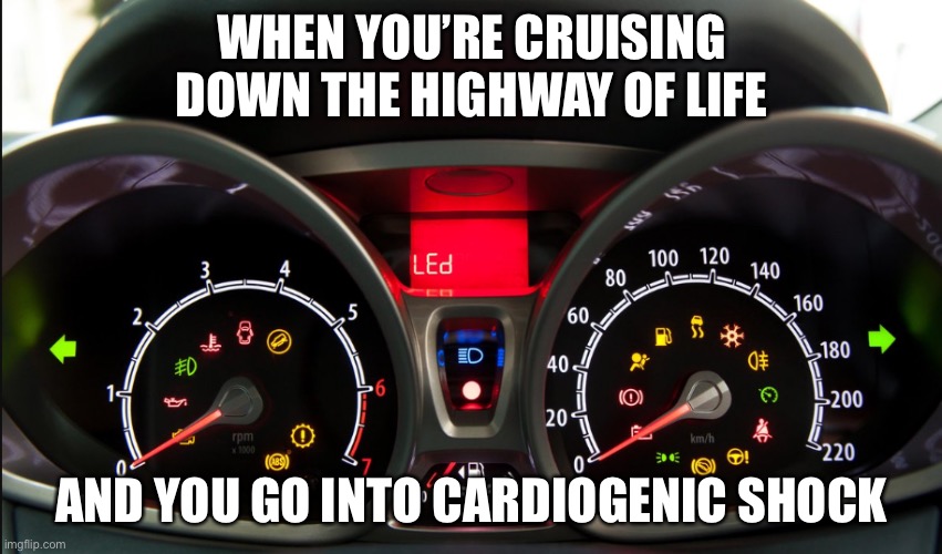 Cardiogenic shock: 76-91% mortality rate in ICUs | WHEN YOU’RE CRUISING DOWN THE HIGHWAY OF LIFE; AND YOU GO INTO CARDIOGENIC SHOCK | image tagged in all dashboard lights on,mortality,death,shock,broken heart,half of my respiratory organs were destroyed | made w/ Imgflip meme maker