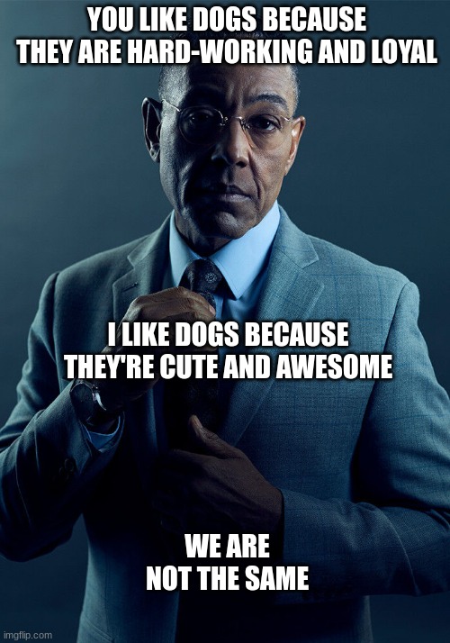 doggo's are awesome | YOU LIKE DOGS BECAUSE THEY ARE HARD-WORKING AND LOYAL; I LIKE DOGS BECAUSE THEY'RE CUTE AND AWESOME; WE ARE NOT THE SAME | image tagged in gus fring we are not the same,dogs,we are not the same | made w/ Imgflip meme maker