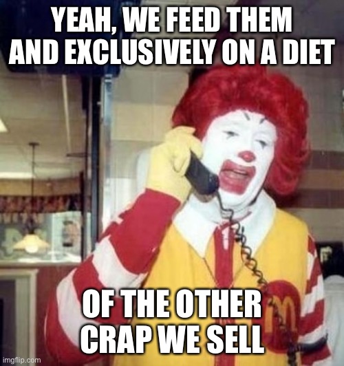 Ronald McDonald on the phone | YEAH, WE FEED THEM AND EXCLUSIVELY ON A DIET; OF THE OTHER CRAP WE SELL | image tagged in ronald mcdonald on the phone | made w/ Imgflip meme maker