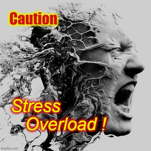 CAUTION ! | Caution; Stress          Overload ! | image tagged in stressed out | made w/ Imgflip meme maker