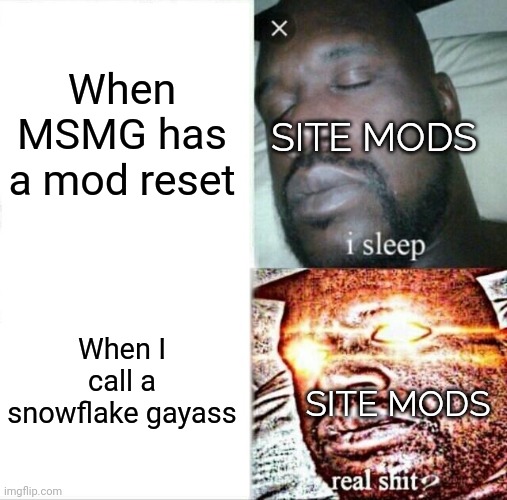 Sleeping Shaq | When MSMG has a mod reset; SITE MODS; When I call a snowflake gayass; SITE MODS | image tagged in memes,sleeping shaq | made w/ Imgflip meme maker
