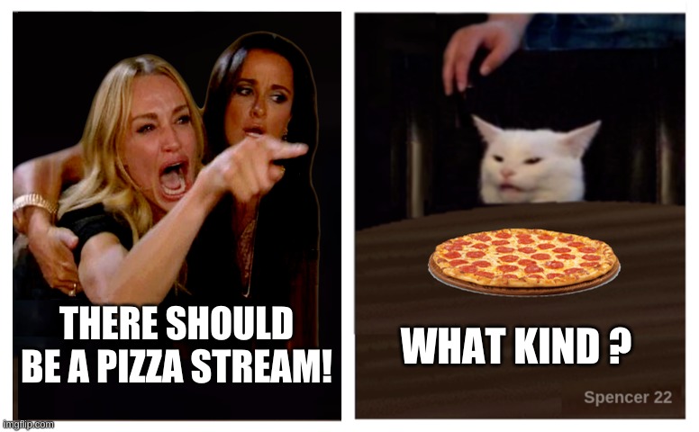 A stream for each kind of pizza? |  WHAT KIND ? THERE SHOULD BE A PIZZA STREAM! | image tagged in smudge the cat,woman yelling at a cat,streams,pizza,meanwhile on imgflip | made w/ Imgflip meme maker