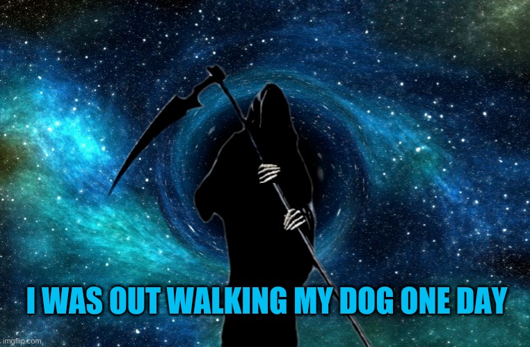 I WAS OUT WALKING MY DOG ONE DAY | made w/ Imgflip meme maker