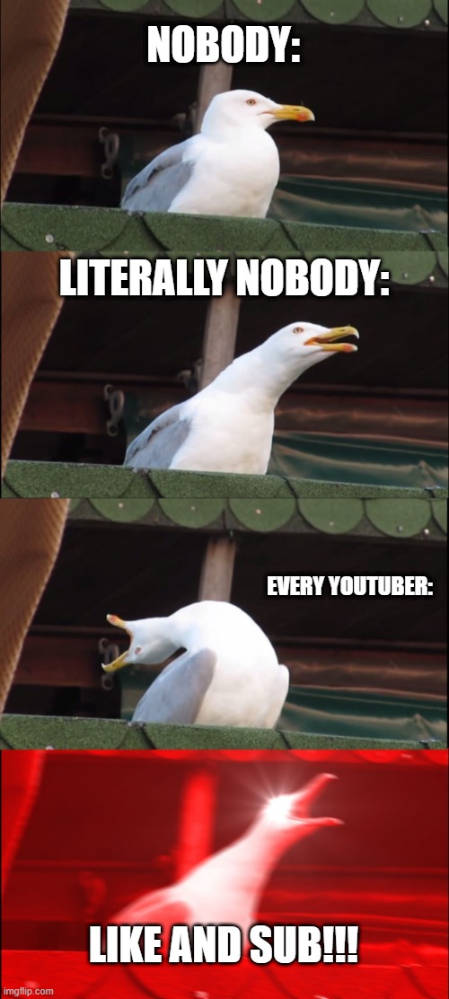 Youtubers | NOBODY:; LITERALLY NOBODY:; EVERY YOUTUBER:; LIKE AND SUB!!! | image tagged in memes,inhaling seagull | made w/ Imgflip meme maker