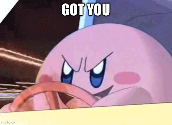 KIRBY HAS GOT YOU! | GOT YOU | image tagged in kirby has got you | made w/ Imgflip meme maker
