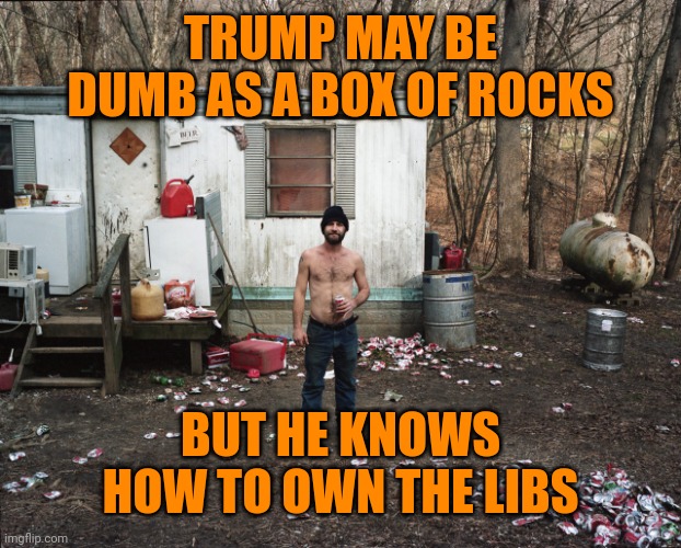 Look at how prosperous I yam | TRUMP MAY BE DUMB AS A BOX OF ROCKS; BUT HE KNOWS HOW TO OWN THE LIBS | image tagged in trailer trash | made w/ Imgflip meme maker