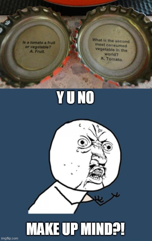 Thanks for Confusion | Y U NO; MAKE UP MIND?! | image tagged in memes,y u no,meme,humor | made w/ Imgflip meme maker
