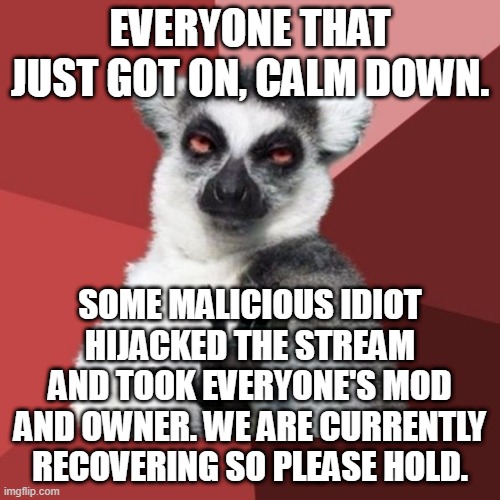 Chill Out Lemur | EVERYONE THAT JUST GOT ON, CALM DOWN. SOME MALICIOUS IDIOT HIJACKED THE STREAM AND TOOK EVERYONE'S MOD AND OWNER. WE ARE CURRENTLY RECOVERING SO PLEASE HOLD. | image tagged in memes,chill out lemur | made w/ Imgflip meme maker