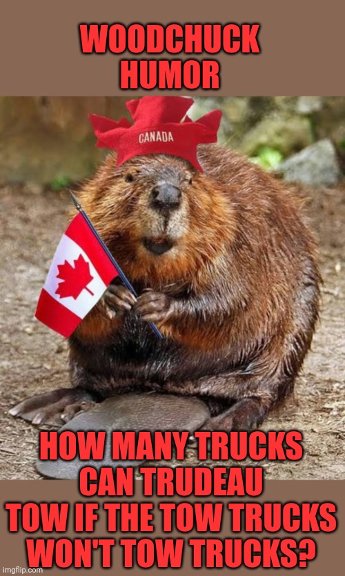 WOODCHUCK HUMOR | WOODCHUCK HUMOR; HOW MANY TRUCKS CAN TRUDEAU TOW IF THE TOW TRUCKS WON'T TOW TRUCKS? | image tagged in woodchuck,humor | made w/ Imgflip meme maker