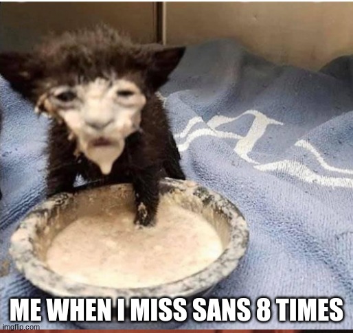 Cat | ME WHEN I MISS SANS 8 TIMES | image tagged in cat | made w/ Imgflip meme maker