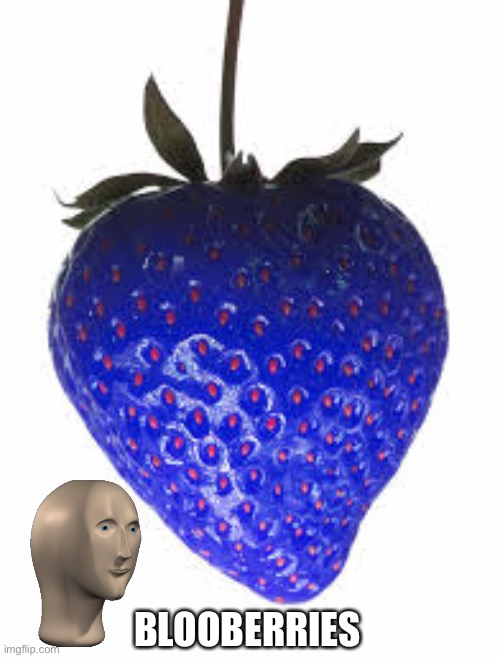 BLOOBERRIES | made w/ Imgflip meme maker