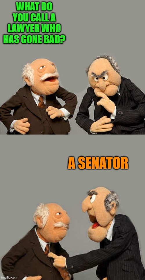 WHAT DO YOU CALL A LAWYER WHO HAS GONE BAD? A SENATOR | made w/ Imgflip meme maker