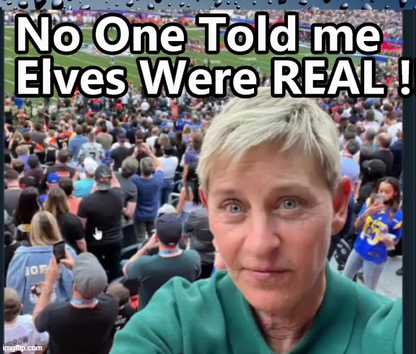 Ellen the Elf ?? | image tagged in ellen the elf | made w/ Imgflip meme maker