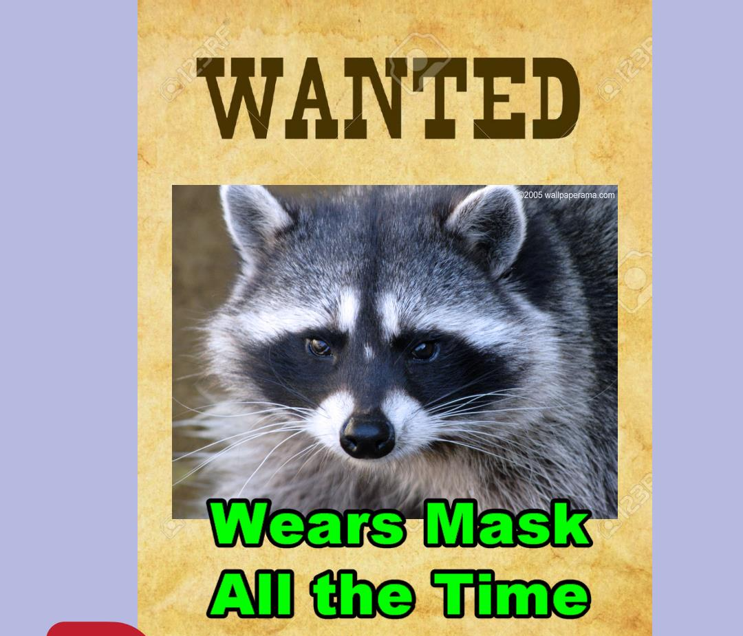 High Quality Mask Up America Blank Meme Template