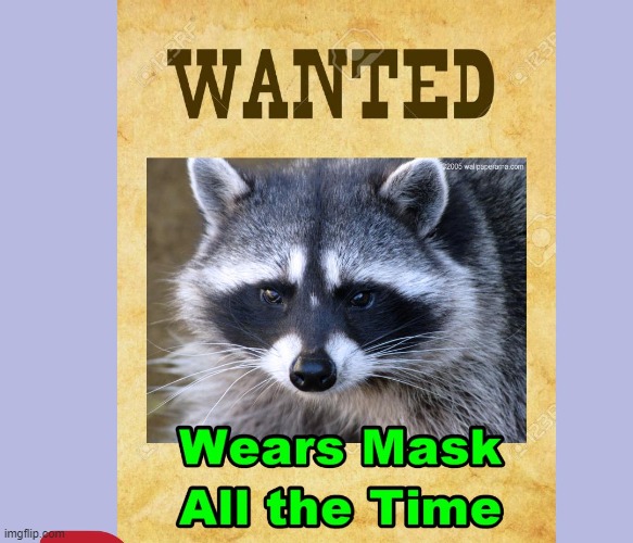 Masks America | image tagged in mask up america | made w/ Imgflip meme maker