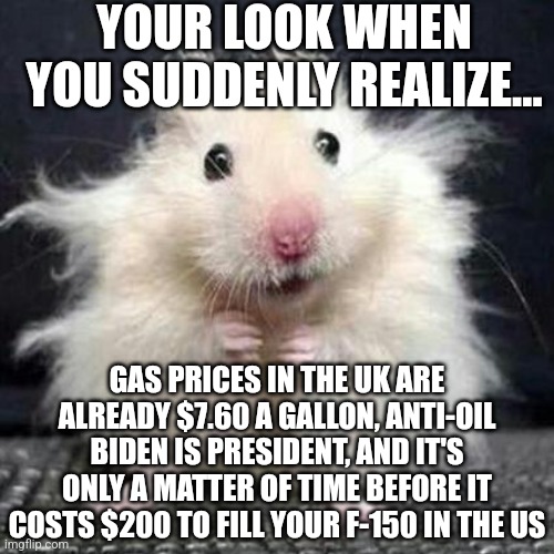 What else can you do but laugh when inflation and energy prices may soon be higher than your mortgage? | YOUR LOOK WHEN YOU SUDDENLY REALIZE... GAS PRICES IN THE UK ARE ALREADY $7.60 A GALLON, ANTI-OIL BIDEN IS PRESIDENT, AND IT'S ONLY A MATTER OF TIME BEFORE IT COSTS $200 TO FILL YOUR F-150 IN THE US | image tagged in stressed mouse,nightmare fuel,prices,inflation,bank account | made w/ Imgflip meme maker