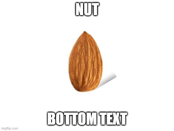 nut | NUT; BOTTOM TEXT | image tagged in blank white template,nut | made w/ Imgflip meme maker