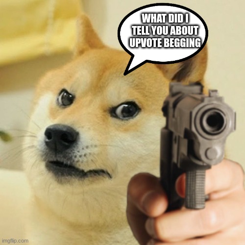 Doge holding a gun | WHAT DID I TELL YOU ABOUT UPVOTE BEGGING | image tagged in doge holding a gun | made w/ Imgflip meme maker