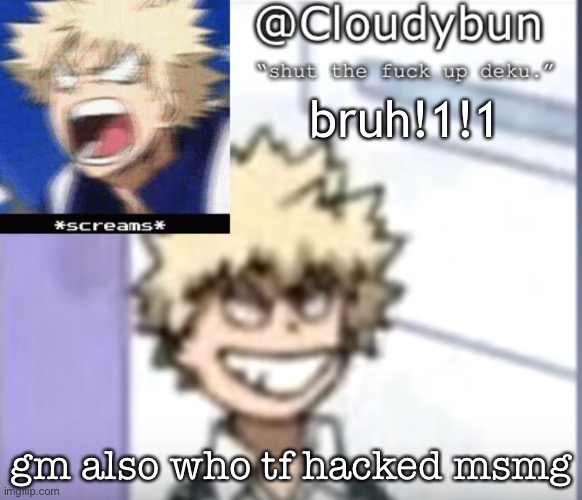 (McNote: not hacked it was Church)(Bro stfu we know damn well it wasn’t him) | bruh!1!1; gm also who tf hacked msmg | image tagged in bakuhoe | made w/ Imgflip meme maker