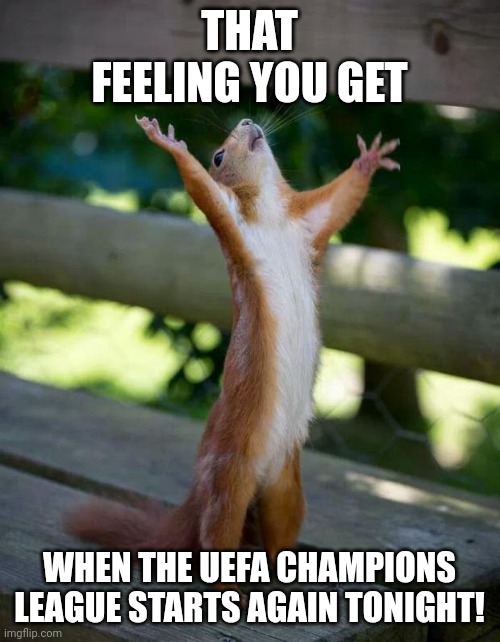 Tonight! | THAT FEELING YOU GET; WHEN THE UEFA CHAMPIONS LEAGUE STARTS AGAIN TONIGHT! | image tagged in happy squirrel,memes,pogchamp | made w/ Imgflip meme maker