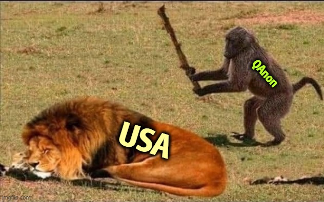 Maybe not right away, but it's coming and it's going to be big. | QAnon; USA | image tagged in america,hates,qanon,monkey,lion,stick | made w/ Imgflip meme maker