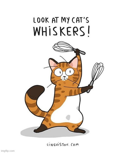 A Cat's Way Of Thinking | image tagged in memes,comics,cats,look at me,kitchen,stuff | made w/ Imgflip meme maker