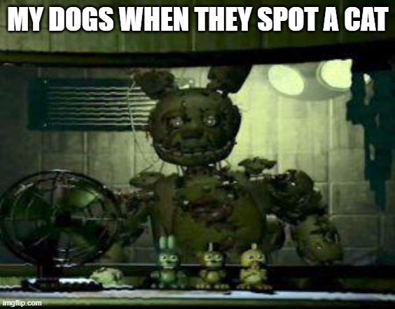 FNAF Springtrap in window | MY DOGS WHEN THEY SPOT A CAT | image tagged in fnaf springtrap in window | made w/ Imgflip meme maker