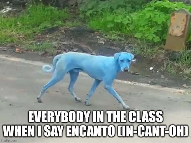 This Is So Annoying | EVERYBODY IN THE CLASS WHEN I SAY ENCANTO (IN-CANT-OH) | image tagged in i didn't see anything | made w/ Imgflip meme maker