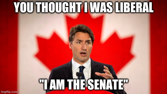 Justin Trudeau | YOU THOUGHT I WAS LIBERAL; "I AM THE SENATE" | image tagged in justin trudeau | made w/ Imgflip meme maker