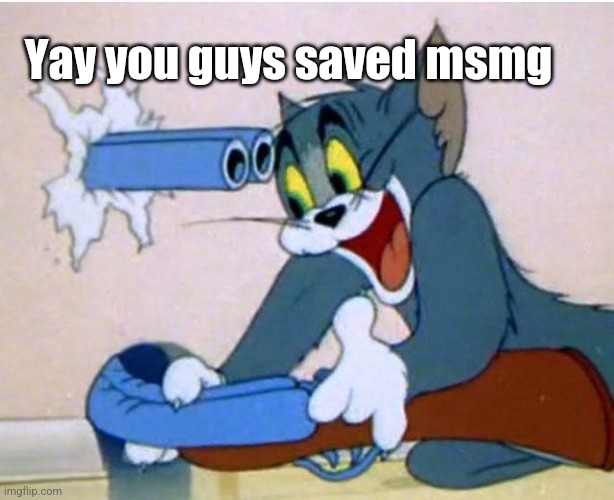 Gm(McNote: It was a sitemod lol) | Yay you guys saved msmg | image tagged in tom and jerry | made w/ Imgflip meme maker