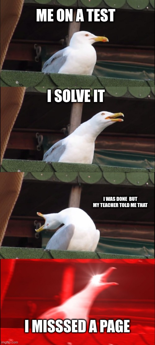I hate when it happens | ME ON A TEST; I SOLVE IT; I WAS DONE  BUT  MY TEACHER TOLD ME THAT; I MISSSED A PAGE | image tagged in memes,inhaling seagull | made w/ Imgflip meme maker