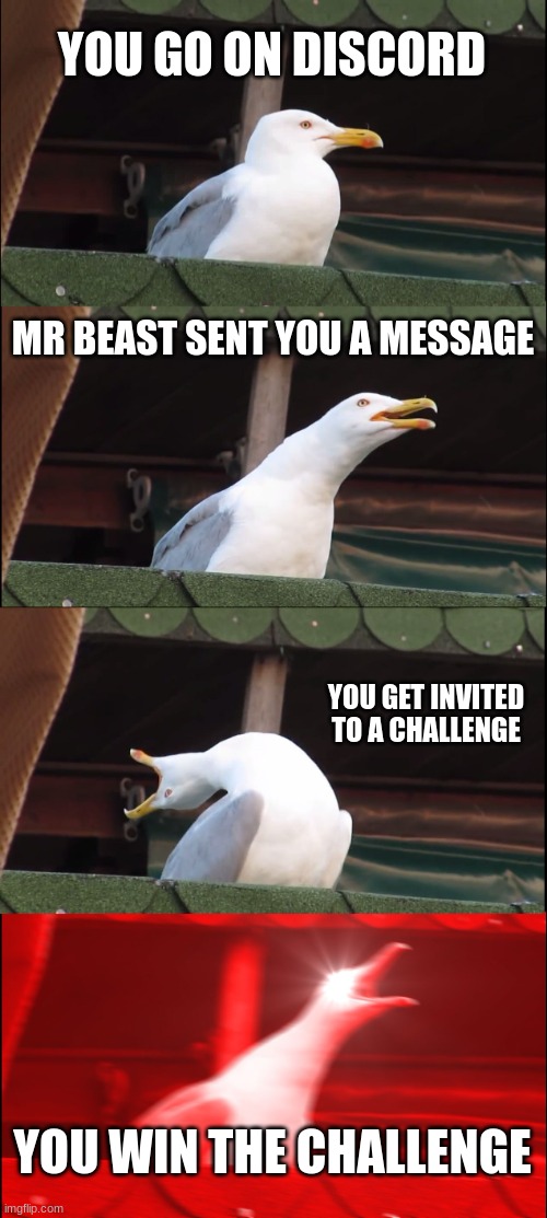 Inhaling Seagull Meme | YOU GO ON DISCORD; MR BEAST SENT YOU A MESSAGE; YOU GET INVITED TO A CHALLENGE; YOU WIN THE CHALLENGE | image tagged in memes,inhaling seagull | made w/ Imgflip meme maker