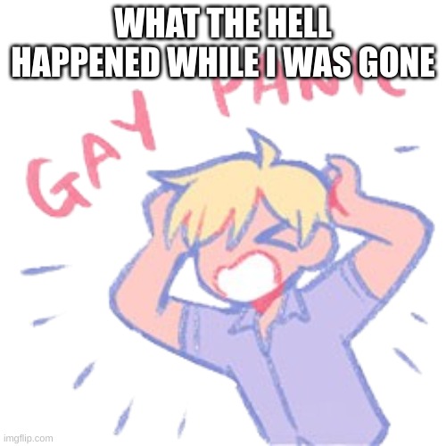 Gay panic | WHAT THE HELL HAPPENED WHILE I WAS GONE | image tagged in gay panic | made w/ Imgflip meme maker