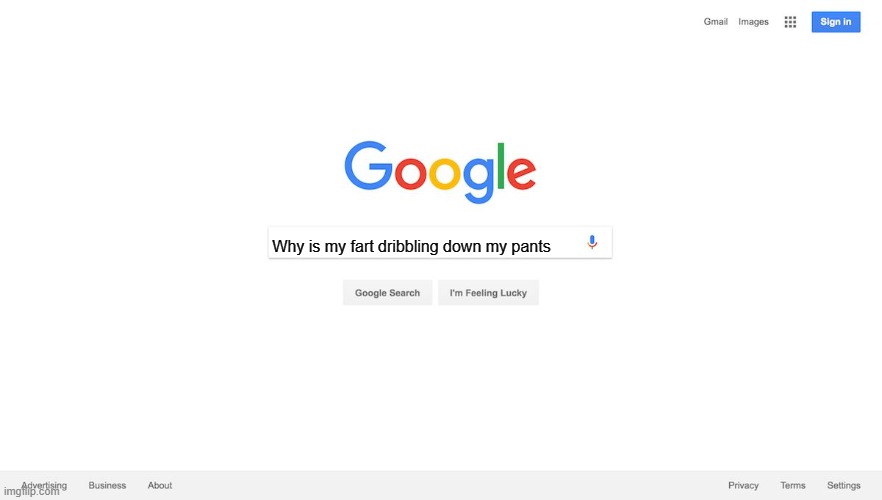 Google Search Meme | Why is my fart dribbling down my pants | image tagged in google search meme | made w/ Imgflip meme maker
