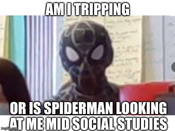 Excuse me | AM I TRIPPING; OR IS SPIDERMAN LOOKING AT ME MID SOCIAL STUDIES | image tagged in sad spiderman | made w/ Imgflip meme maker