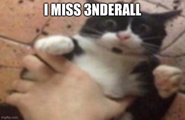 Run | I MISS 3NDERALL | image tagged in run | made w/ Imgflip meme maker