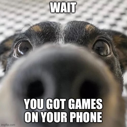 Dog | WAIT; YOU GOT GAMES ON YOUR PHONE | image tagged in dog | made w/ Imgflip meme maker