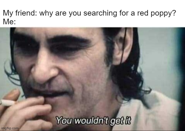 I need it.... | My friend: why are you searching for a red poppy?
Me: | image tagged in you wouldn't get it,minecraft,nostalgia,memes,funny | made w/ Imgflip meme maker