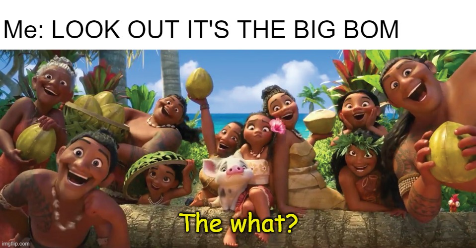 The big bom | Me: LOOK OUT IT'S THE BIG BOM; The what? | image tagged in bomb,the what | made w/ Imgflip meme maker