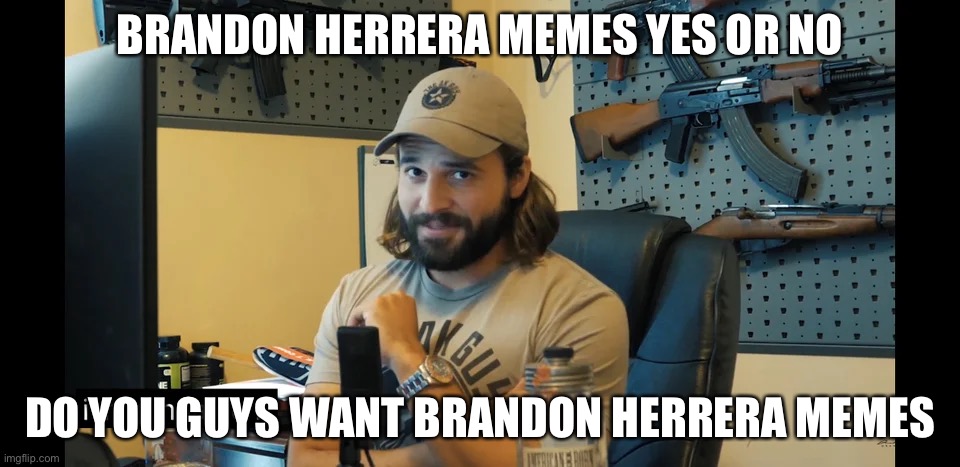 Brandon Herrera I'm gonna do it | BRANDON HERRERA MEMES YES OR NO; DO YOU GUYS WANT BRANDON HERRERA MEMES | image tagged in brandon herrera i'm gonna do it | made w/ Imgflip meme maker