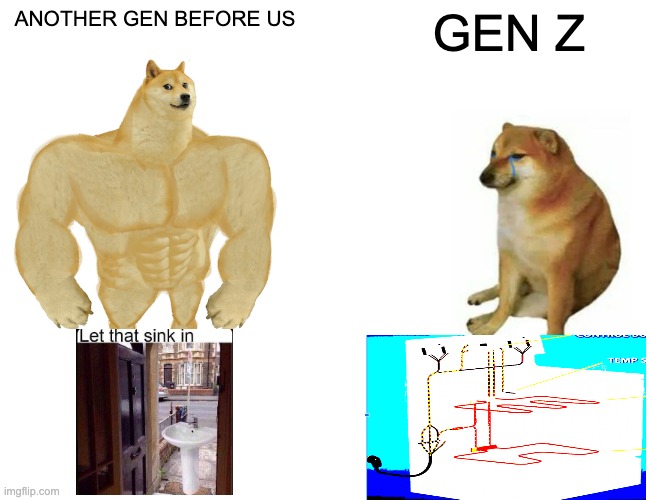 Buff Doge vs. Cheems | ANOTHER GEN BEFORE US; GEN Z | image tagged in memes,buff doge vs cheems | made w/ Imgflip meme maker